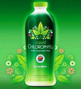 harga klorofil synergi