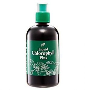 harga klorofil plus
