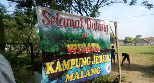 wisata kampung jeruk