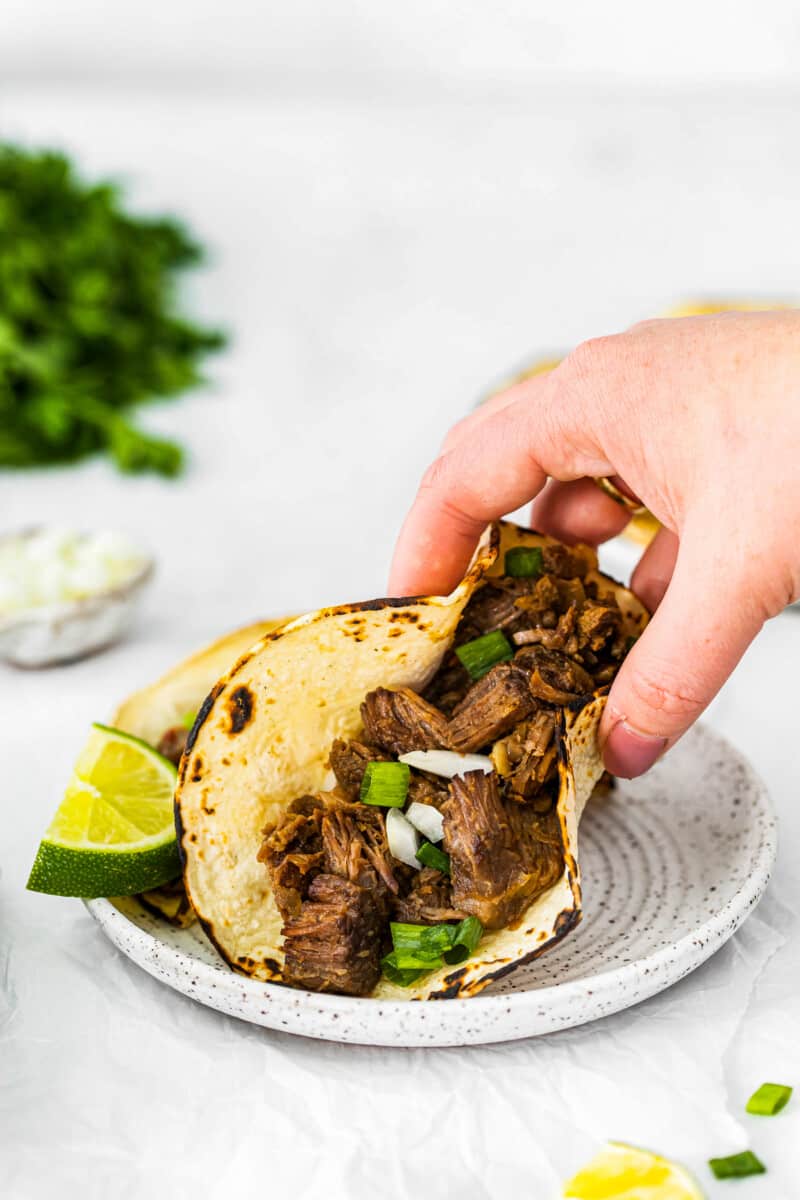 hand holding a beef carnitas taco