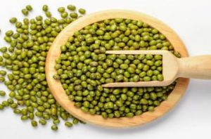 Harga Kacang Ijo