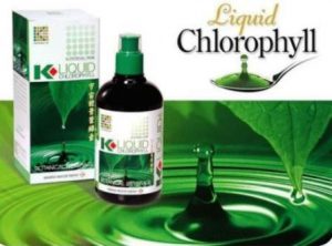 Harga Klorofil