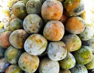 Harga Buah Kesemek di Pasaran