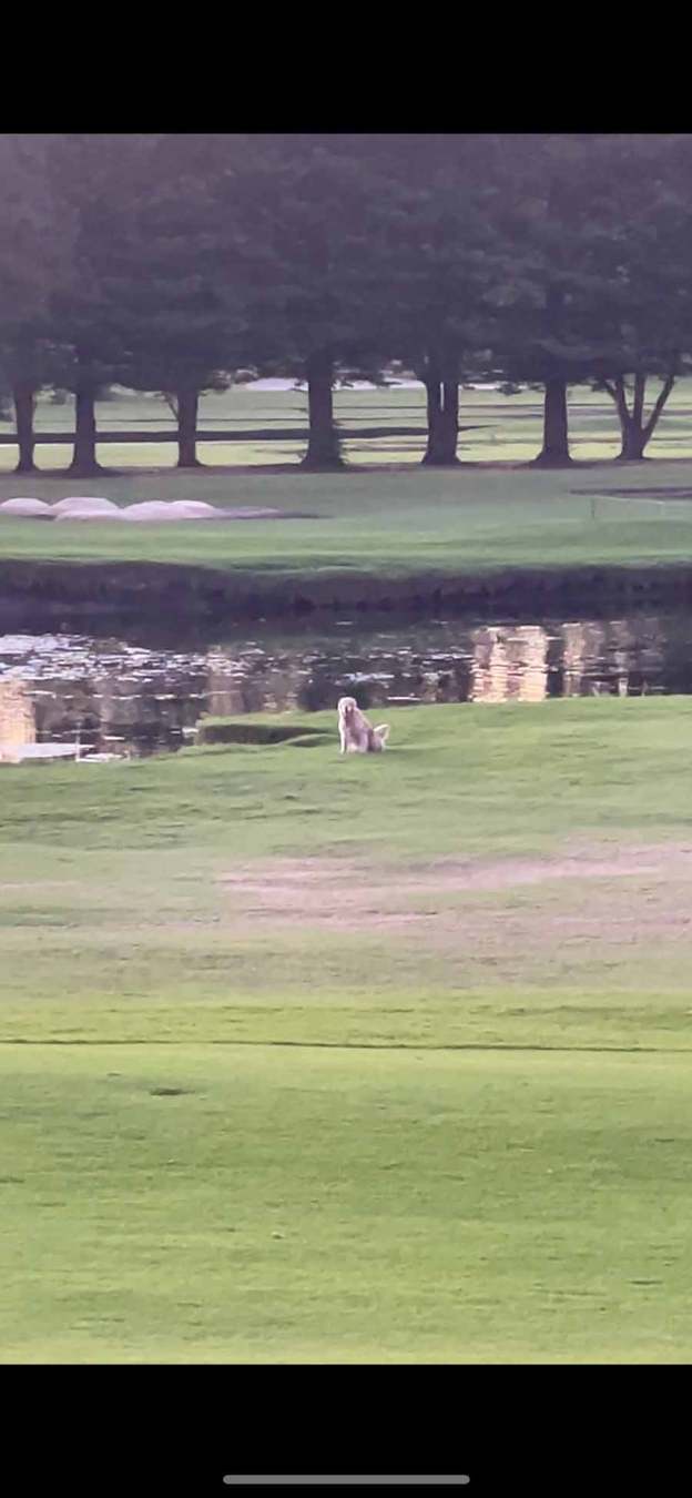 1662006819 754 Special Burger Sauce RecipeTin Eats