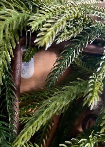 Garland and Command Strips