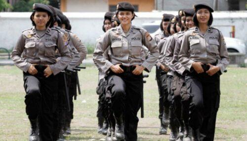 Polisi Adalah: Sejarah, Fungsi, Tugas, dan Jenisnya 5 Jenjang Karir Polisi di Indonesia